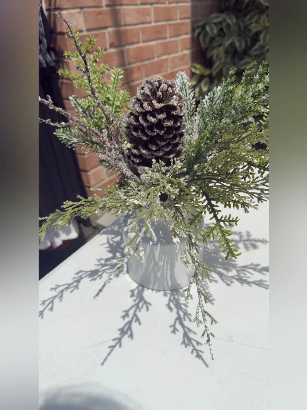 Frosted Pinecone Evergreen Accent in Green